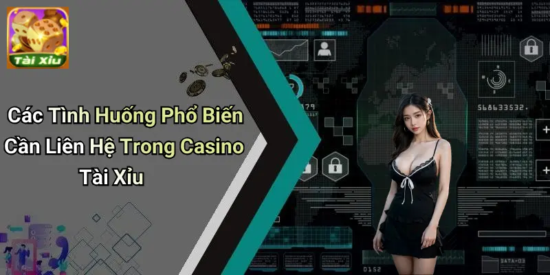 Liên Hệ