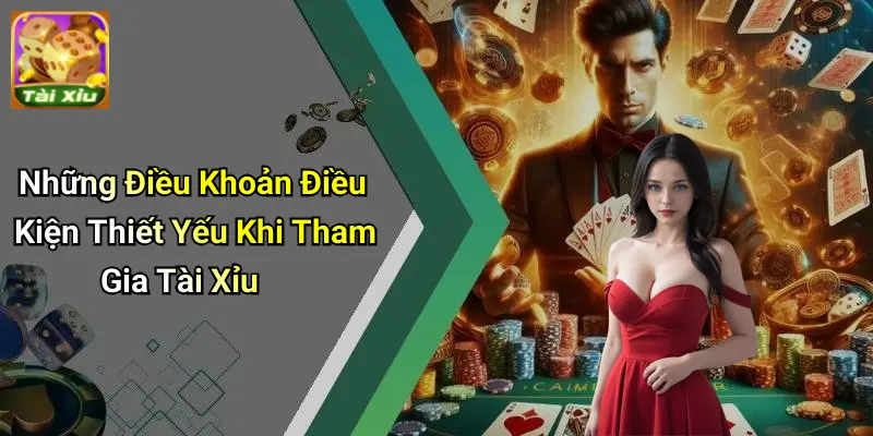Điều Khoản Điều Kiện