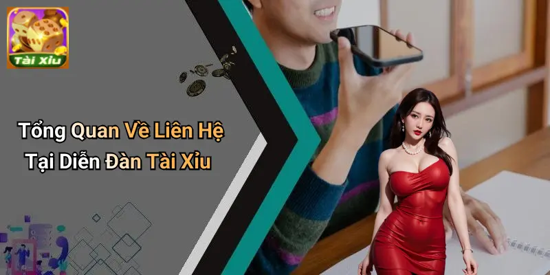 Liên Hệ