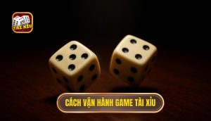 cách vận hành game tài xỉu