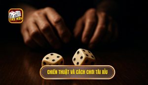 chiến thuật và cách chơi tài xỉu