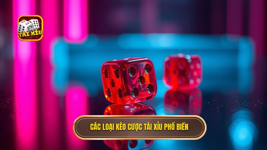 Các Loại Kèo Cược Phổ Biến Trong Tài Xỉu